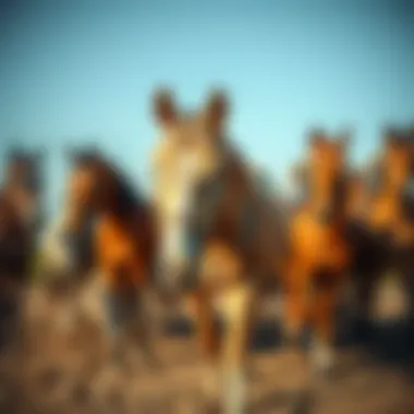 Cultural Significance: Horses Across Civilizations An artistic depiction of horses in various cultures, illustrating their symbolic significance.